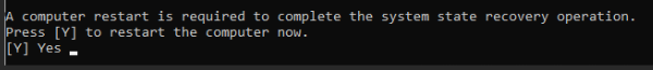 An image of a CMD output asking if the user wants to restart the machine after recovering a backup for DNS restoration
